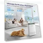 Thumbnail HEPA Air Purifier for Large Rooms — Activated Carbon Air Purifiers, KNKA
