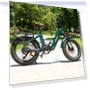 Master Electric Bike — Electric Self-Balancing Scooters, Fafrees