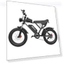 Electric Bike — Electric Vehicles, Ridstar