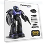 Thumbnail Smart Programmable Robot with Gesture Sensing — Interactive Figures & Robots, NAN-FTIAN