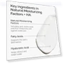 Thumbnail Natural Moisturizing Factors + Hyaluronic Acid — Beauty & Personal Care, DECIEM