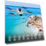 Thumbnail 4K UHD Camera Drone with GPS — Drones, CANKETEC