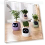 Thumbnail Smart Pet Planter Robot — Plants & Greenery, PLANTSIO