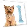 Thumbnail Teething Toy Chewing Dog Toothbrush Toy — Toys