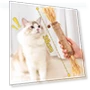 Thumbnail Extra Large Silvervine Cat Toy — Dental Care