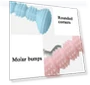 Thumbnail Teething Toys Chewing Gnawing Dog Toothbrush — Toothbrushes