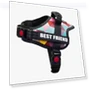 Thumbnail Dog Chest Strap with Night Reverse Light — Vests