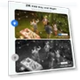 Thumbnail Wireless Outdoor Security Camera — Smart Home Security, ZEEPORTE SECURITY