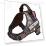 Thumbnail Dog Chest Strap with Night Reverse Light — Vests