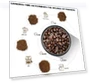 Thumbnail Electric Coffee and Spice Grinder — Electric Blade Coffee Grinders, LINKchef