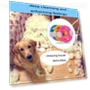 Thumbnail Anti Bite Grinding Teeth Cleaning Dog Toy — Toys