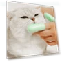 Thumbnail Double Finger Toothbrushes for Pet Teeth Cleaning — Toothbrushes