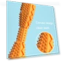 Thumbnail Hexagonal Molar Teeth Cleaning Stick Pet Toothbrush — Dental Care