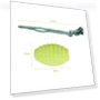 Thumbnail Knot Pet Bite Resistant Teeth Cleaning Toy — Ropes
