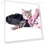 Thumbnail Pet Bath Kit — Bath Accessories