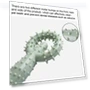 Thumbnail Pet Pull Ring Teething Stick Toy — Toys