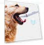 Thumbnail Ultrasonic Cleaning Machine for Pet Dogs — Ultrasonic Cleaners