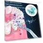 Thumbnail Portable Dental Rinser Water Flosser — Power Flossers