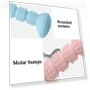 Thumbnail Teething Toy Chewing Dog Toothbrush Toy — Toys