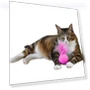Thumbnail Feathers Tease Cats Toys Plush Pet Cat Toys — Cat Playthings