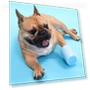 Thumbnail Pet Foot Clean Cup — Claw Care