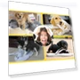 Thumbnail Tooth Cleaning Chewing Toy Balls for Pets — Toys