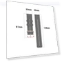 Thumbnail Dot Texture Watch Band — Bands