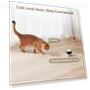 Thumbnail Indoor Security Camera Robot — Cameras & Monitors, Enabot