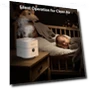 Thumbnail Air Purifier and Humidifier Combo — Air Moisturizers, HomBreez