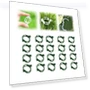 Thumbnail Reusable Plastic Plant Clips for Climbing Plants — Clamps, FKMEE