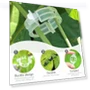Thumbnail Reusable Plastic Plant Clips for Climbing Plants — Clamps, FKMEE