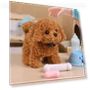 Interactive Puppy Toy — Interactive Animal Companions, Hello Garden
