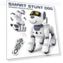 Smart Educational Robot Dog Toy — Interactive Learning Devices, StrideBox