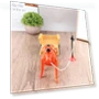 Robot Horse Toy — Interactive Animal Companions, Fairy Expounds