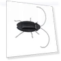 Solar-Powered Educational Robot Cockroach Toy — Solar Power, roses