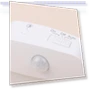 Motion Sensor Night Light — Night Lights, For Season