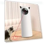 Automatic Laser Toy for Cats/Dogs — Cat Playthings, ZEKS