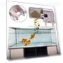 Smart Automatic Fish Feeder — Feeders, odeer