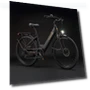 Thumbnail Electric Bike — Electric Vehicles, PURE UNICORN