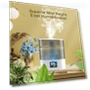 Thumbnail Cool Mist Air Humidifier — Air Moisturizers, Msolok