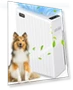 Thumbnail Large Room Air Purifier — Activated Carbon Air Purifiers, Mooka Family