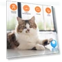 Intelligent pet cat toy ball — Cat Playthings