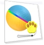 Intelligent pet dog toy ball — Balls