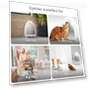 Thumbnail Touchless Vacuum Automatic Dustpan — Vacuums, EYE-VAC