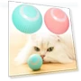 Automatic Rolling Toy for Cats — Cat Playthings, dosanj88