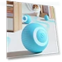 Automatic Rolling Ball Interactive Pet Toy — Exercise Wheels, huji52