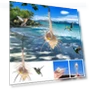 Smart Bird Feeder — Backyard Birding, YiGeiWoLiGiaoGiao