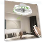 Smart Ceiling Fan — Ceiling Fans, Flowers living