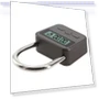 Smart Time Lock with LCD Display — Alarms & Clocks, Seahorse Home