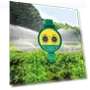 Thumbnail Digital Garden Watering Timer with Intelligent Irrigation Control — Controllers, Garden Master